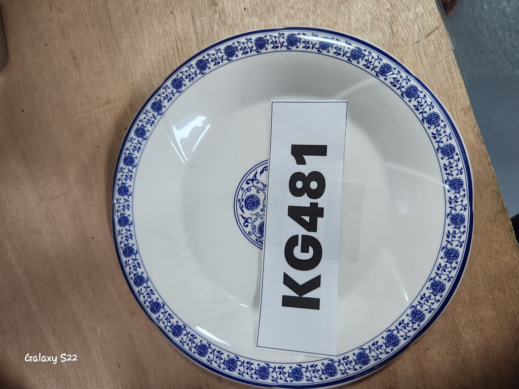 KG481 - Melamine White & Blue Plate- round 25 cm